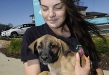 Forever homes needed