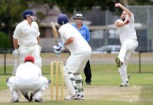 Berwick: Can they Bear it?