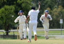 Crunch time for Bears