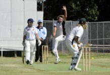 Swamp Tigers loss becomes Catani’s gain