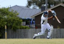 Cobras just fall short