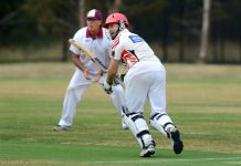 Panthers push their case