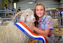 Show is taste of the region