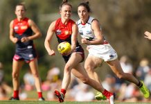 Dees surge past Lions