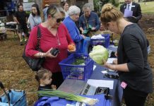 Market brings fresh food to Paky