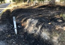 Torched car starts grass fire