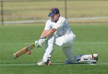 Record breaking Panthers