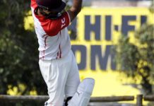 Father-son flags for Cats, Maroons