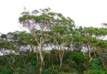 Boost for biodiversity