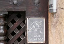 Girl mauled months after dogs investigated