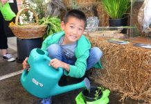 A say on sustainability