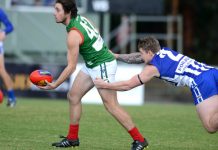 Ruthless ‘Roos dominate