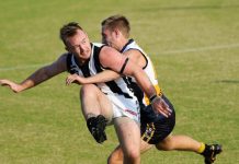 Magpies excite and delight