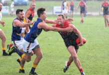 Sea Eagles soar through the gloom