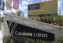 Thieves in tree heist