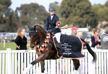 From risk to resilience