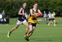 Dandy’s hot start continues