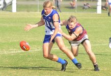 Kangaroos stave off Lions