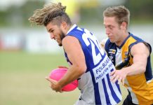 Kangaroos set to make the leap