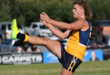 Eagles are made to work