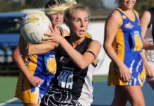 Doves continue their charge