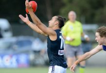 Dominant on all levels