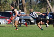 The start of something big?