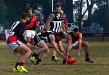 See the Bombers fly up