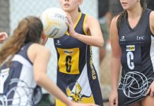 Magpies and Eagles in a classic