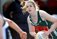 Seagulls show their might