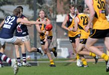 Rays claim big win over Dragons