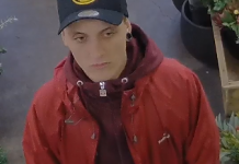 Hunt for brazen Berwick thieves