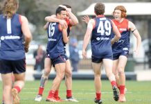 Casey hits Coburg for six