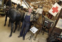 Light Horse’s final charge