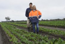 Premier breaks silence on pipeline