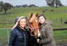 Girl abducted in botched pony sale