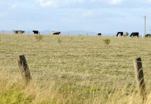 ‘Ghetto’ fears for new estate