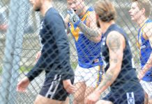 Berwick opt to drop it