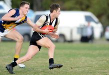 Magpies in complete control