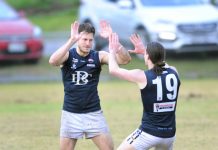 Lions making some noise