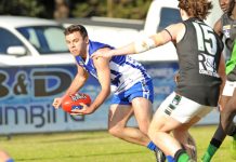 Kangaroos are a step closer