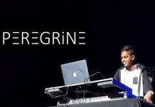 Beat of falcon’s wings