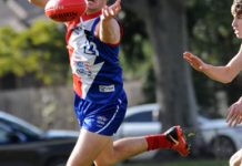 Gippsland power past the Knights