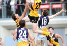 Super seven for Stingrays