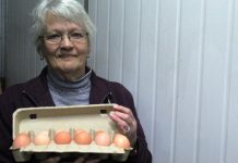 Egg farmers seek feedback