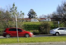 Traffic taking a toll