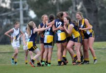 Dreams are made in SEJ