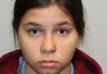 Search for missing Shannon