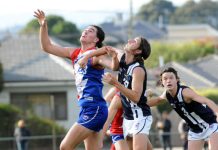 Noah’s football arc