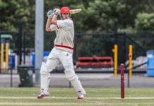 Swans bring the changes